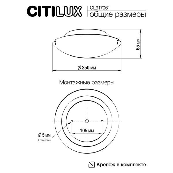 Настенно потолочный светильник Citilux Крона CL917061
