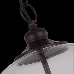 Светильник подвесной ST Luce Lateria SL362.303.03