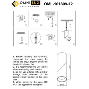 Накладной светильник Omnilux Arlate OML-101809-12