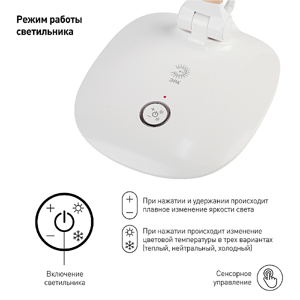 Офисная настольная лампа ЭРА NLED-456-10W-W-G