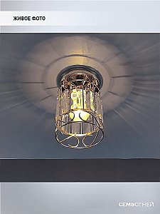 Светильник потолочный Wedo Light Beteni WD3567/1C-FGD-CL