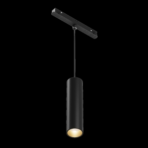 Трековый светильник Maytoni Focus LED Exility TR041-2-12W3K-B