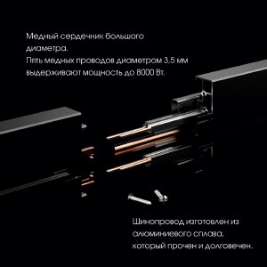 Трековая розетка Arte Milano Am-track-sockets 380066TS LED/USB-Type-C Black