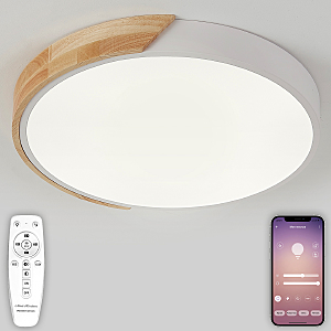 Светильник потолочный Natali Kovaltseva Scandinavian LED LAMPS 81181