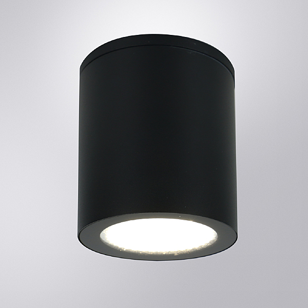 Уличный потолочный светильник Arte Lamp Torcular A1813PF-1BK