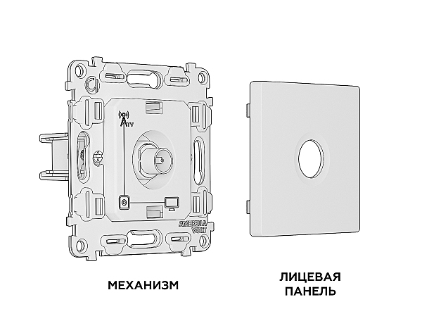 Розетка Ambrella Volt ALFA MA113010